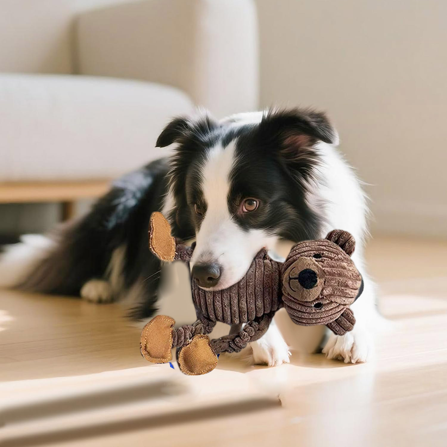 Squeaky Dog Toys, Tug of War Plush Toys