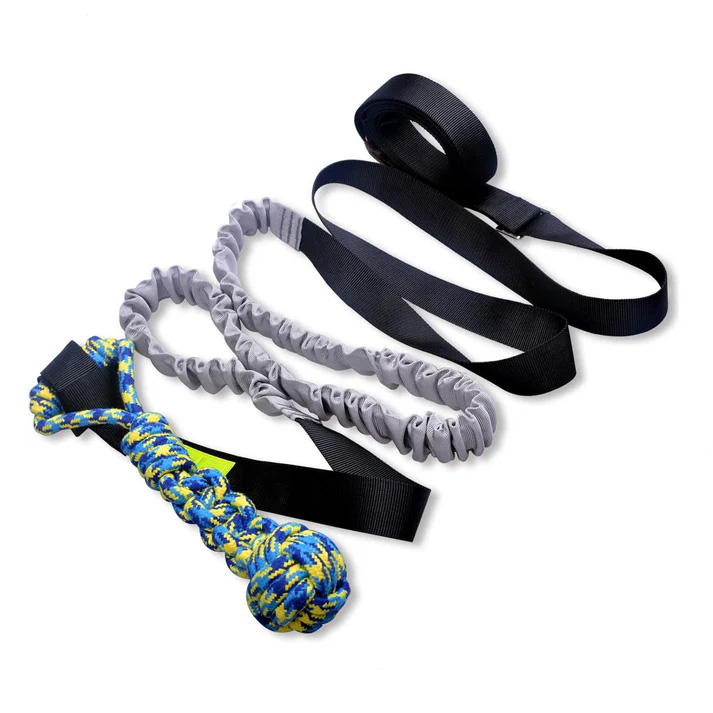 Petsboro™ - Tire Out Your Dog in Minutes