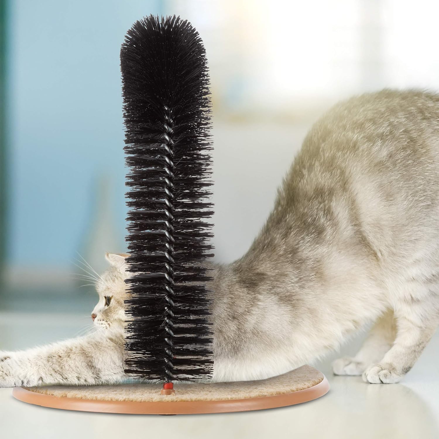 🐱Cat Self-Groomer - Bristle Ring Brush Scratcher