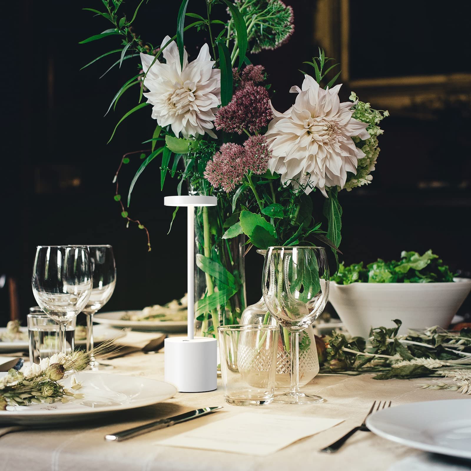 Rechargeable Portable LED Desk Lamp