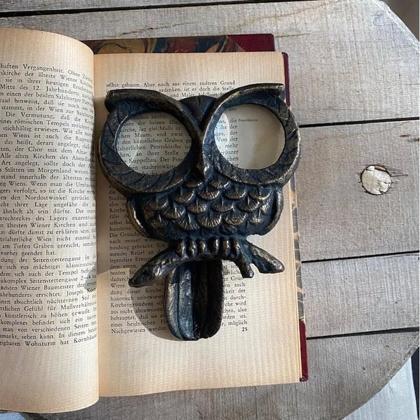 🦉Owl Desktop Magnifier