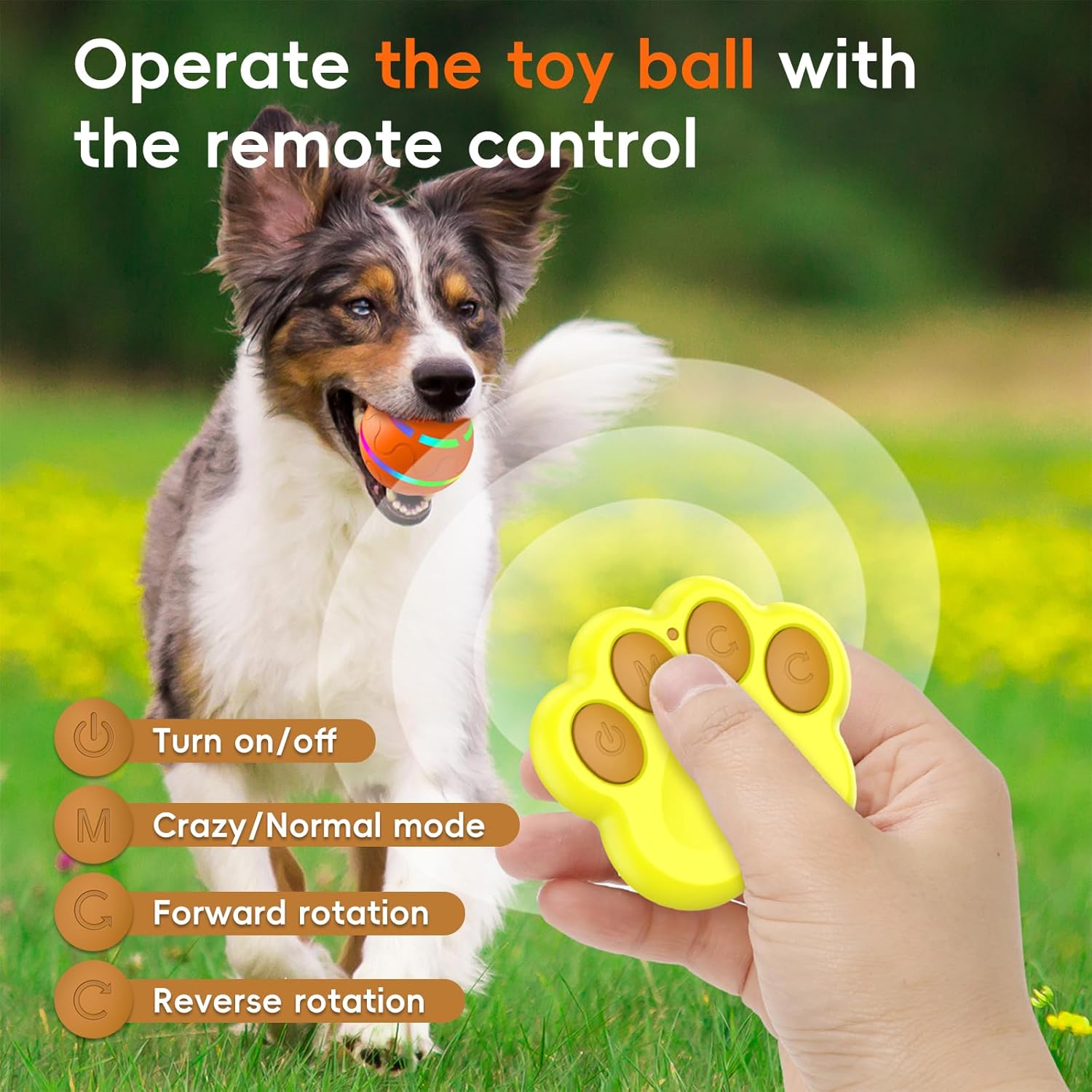  Automatic Moving Dog Ball with Remote Control