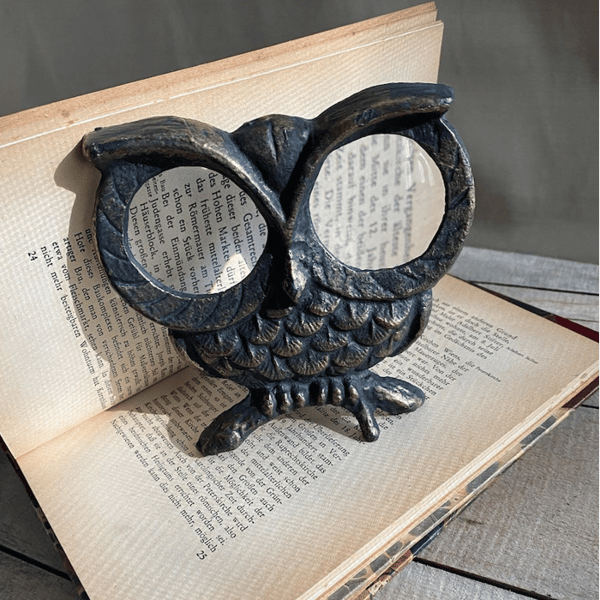 🦉Owl Desktop Magnifier