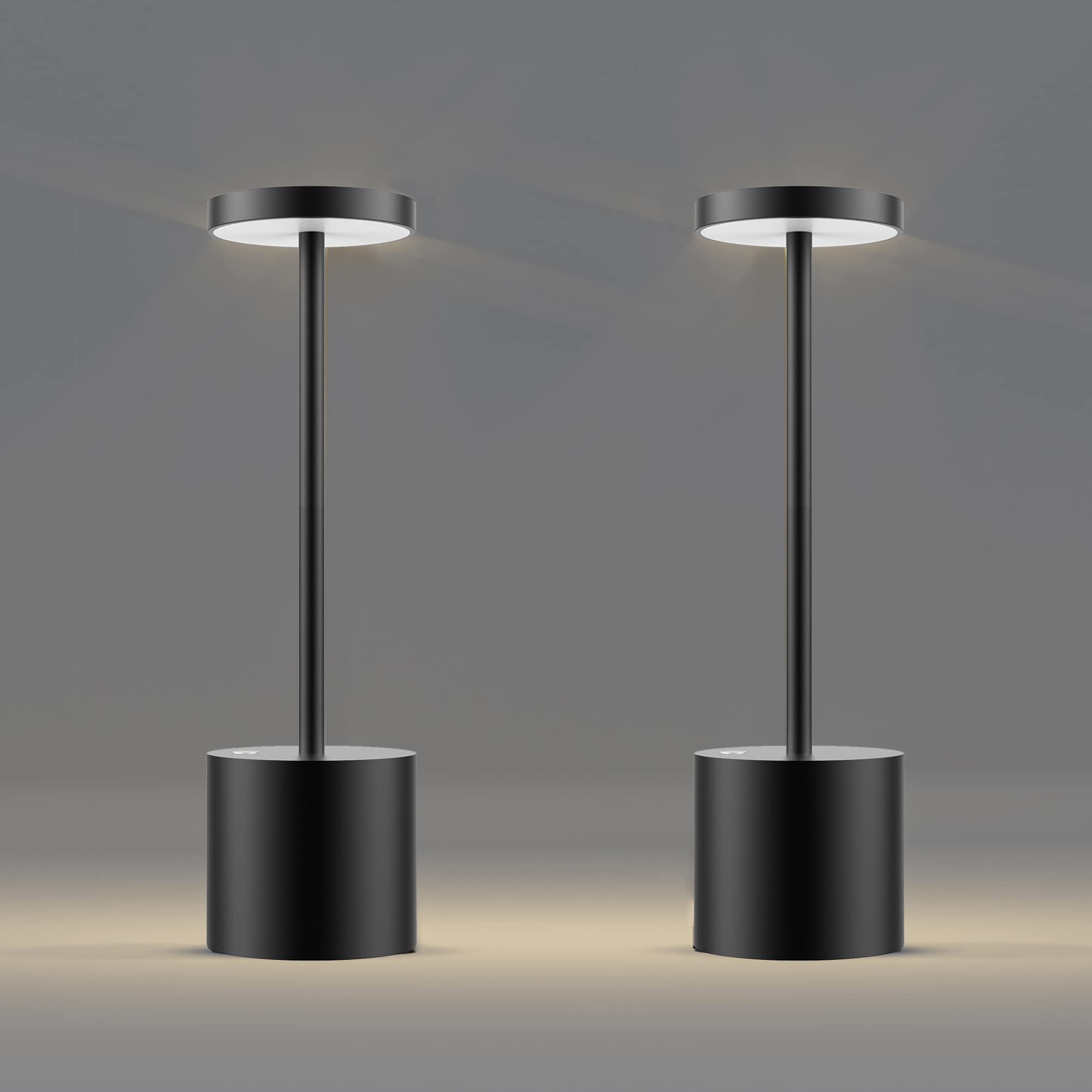 Rechargeable Portable LED Desk Lamp