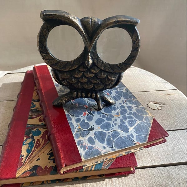 🦉Owl Desktop Magnifier