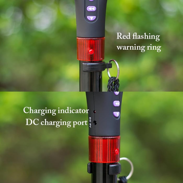 Smart Folding Walking Stick – Your Ultimate Multifunctional Companion for Safety and Convenience! 🦯✨