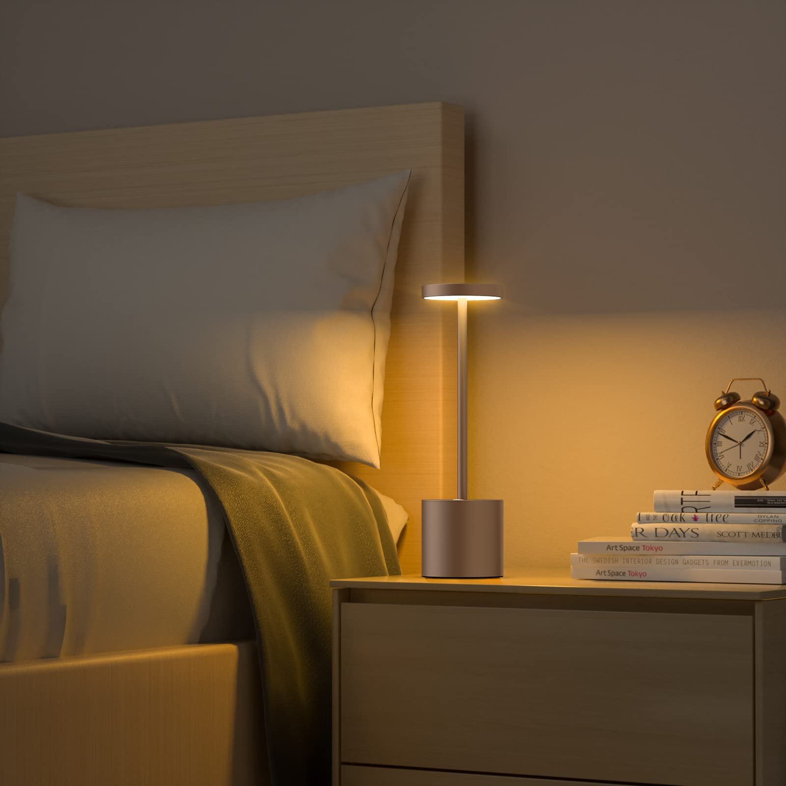 Rechargeable Portable LED Desk Lamp