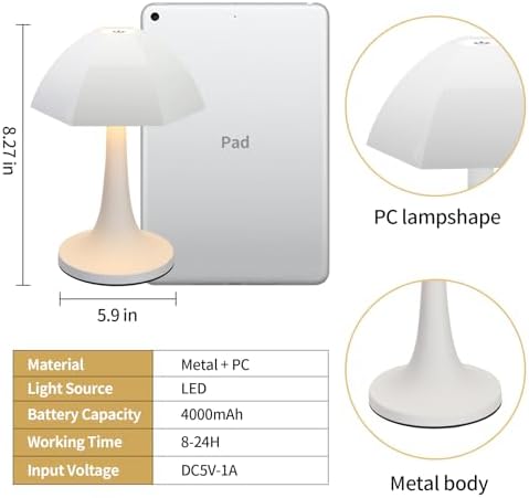 Cordless Table Lamp