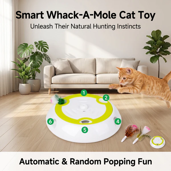 Whack A Mole Cat Mouse Toy for Cats