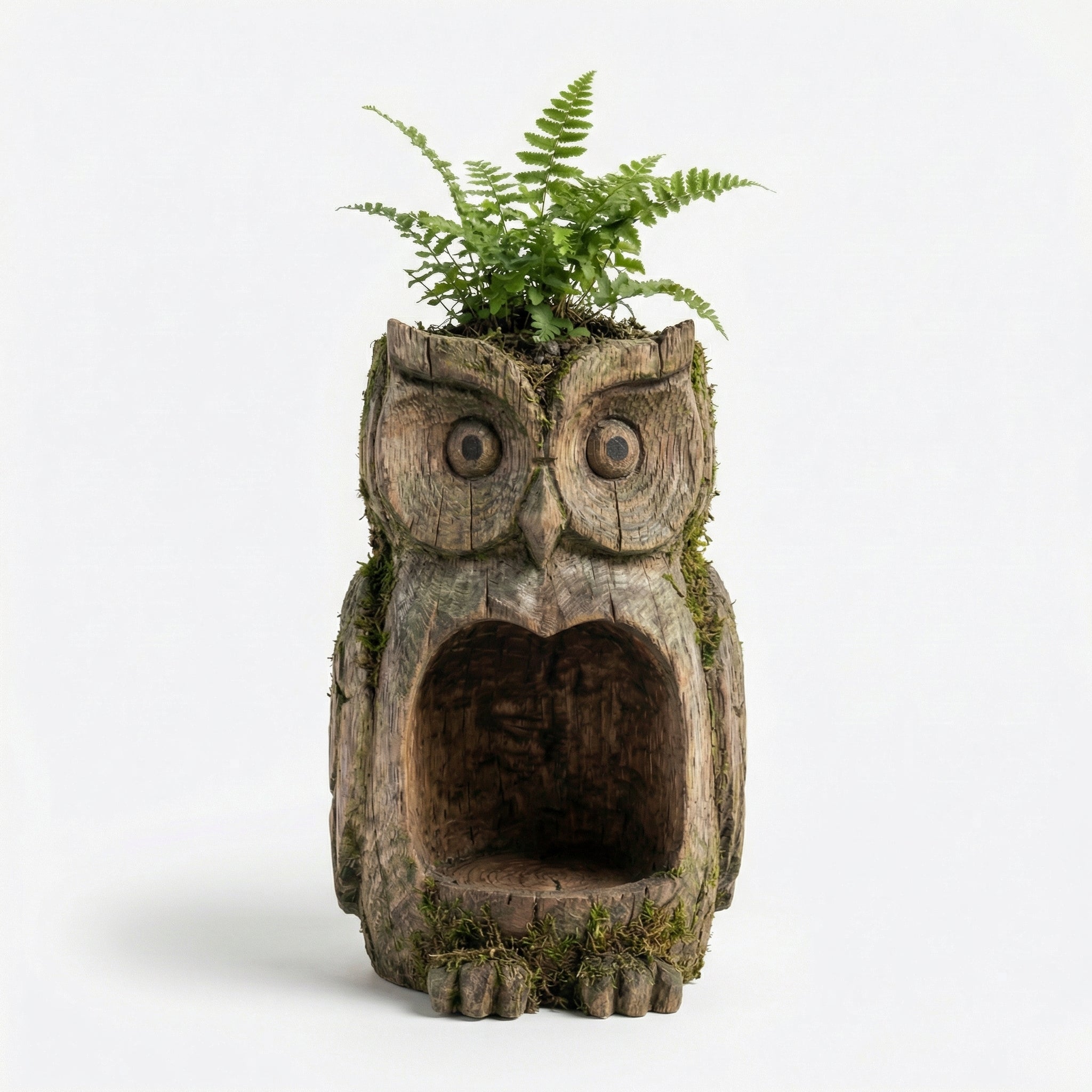 Early Spring Dual-Purpose Plant Owl Guardian