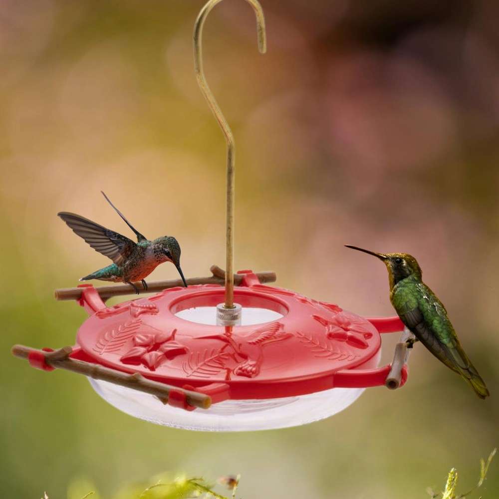 AspenPerch Hummingbird Feeder product photo