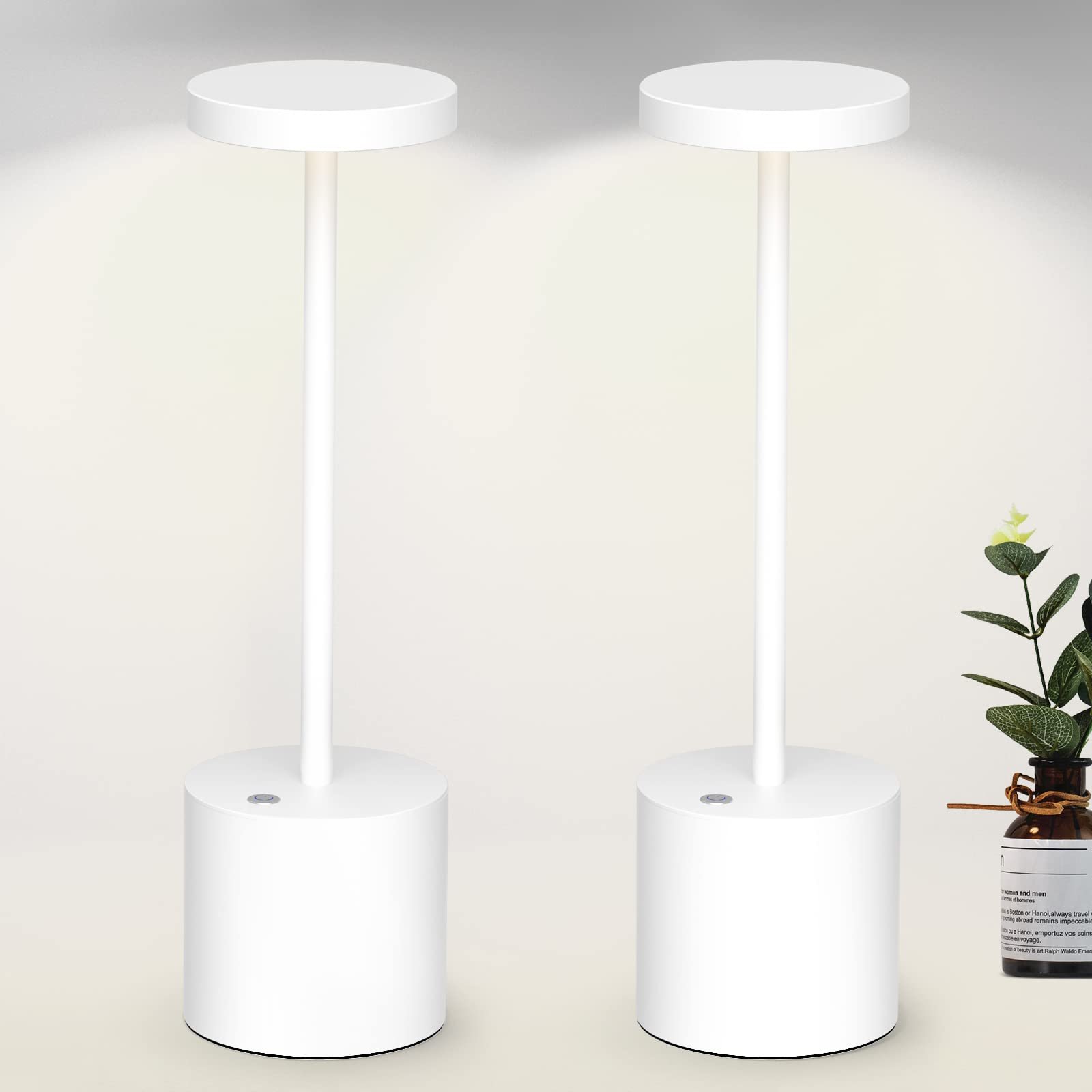 Rechargeable Portable LED Desk Lamp