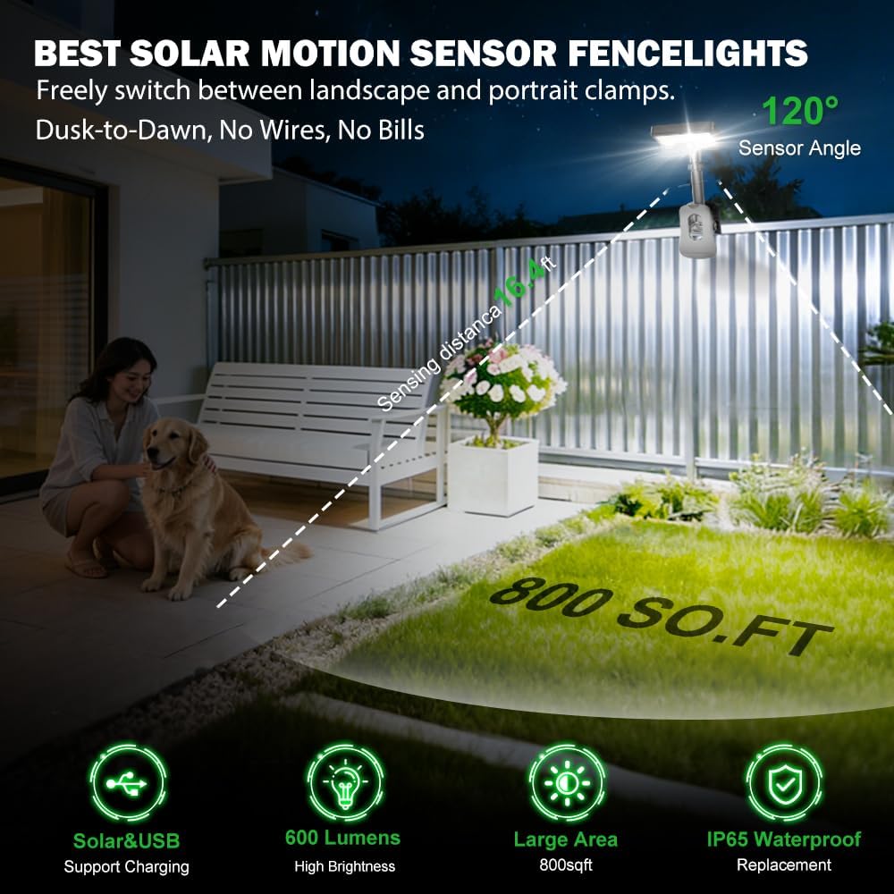 Outdoor Solar Motion-Activated Light