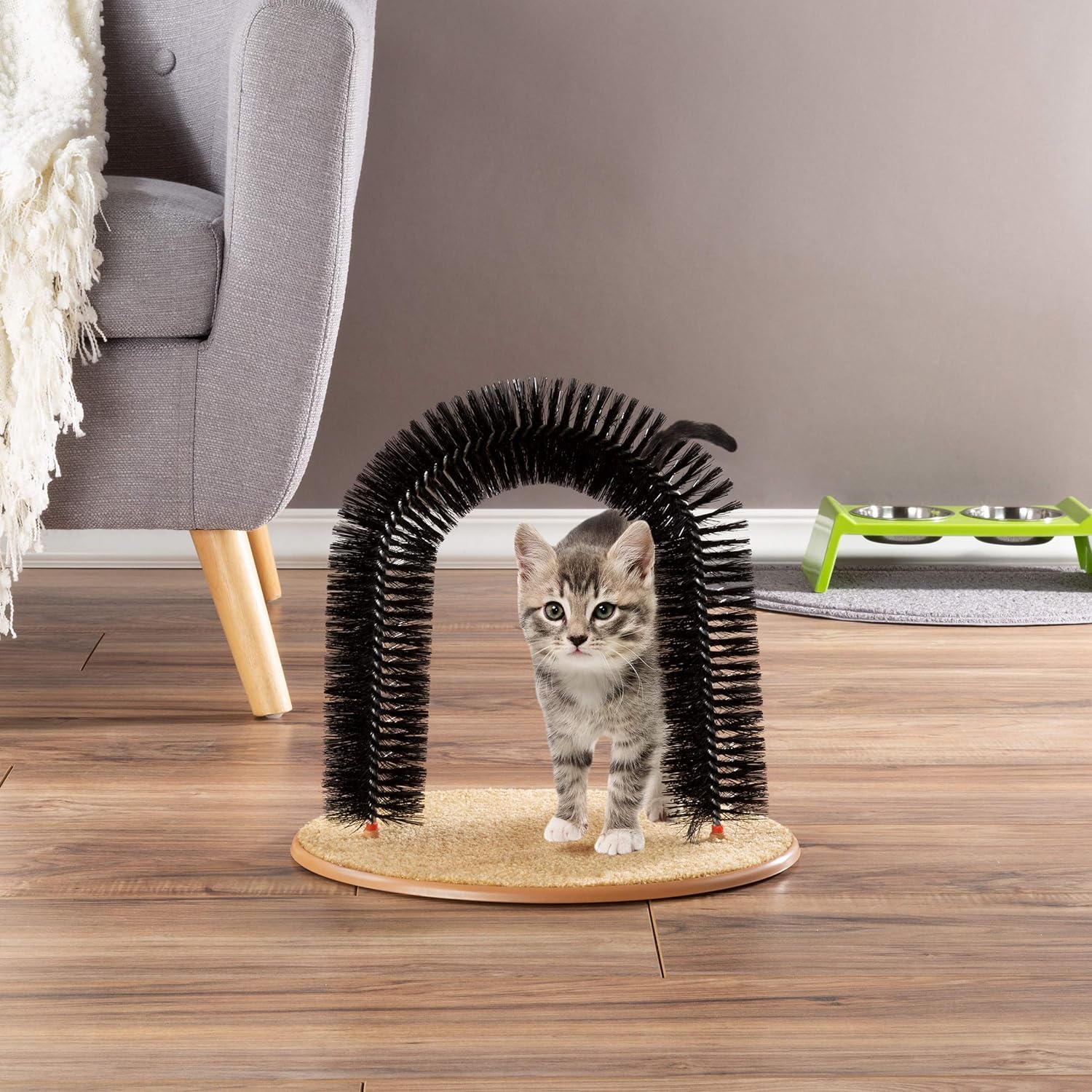 🐱Cat Self-Groomer - Bristle Ring Brush Scratcher