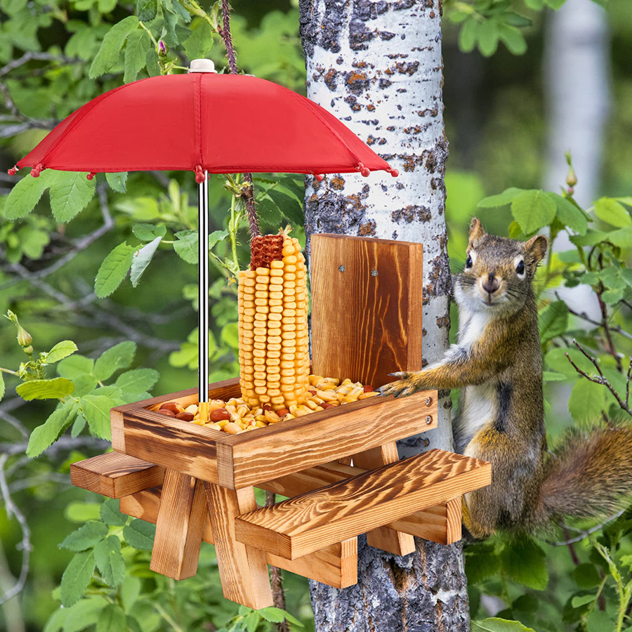 Squirrel Feeder Picnic Table