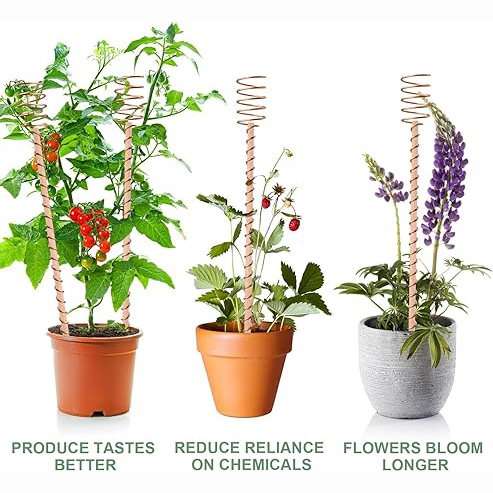 12"Electroculture Plant Stakes, High-Yield, Eco-Friendly