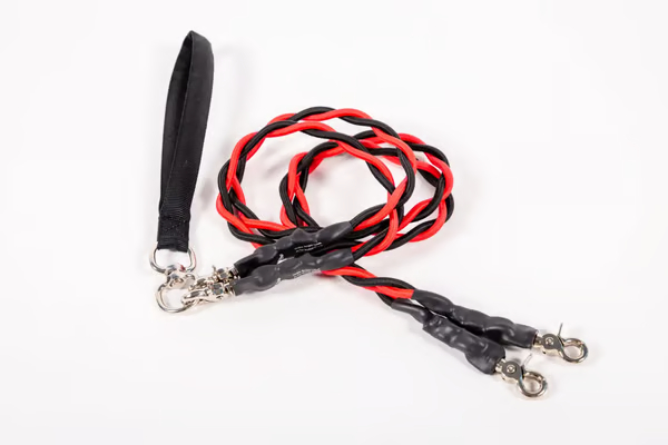 🔥Last Day🔥🐕Double Bungee Leash - 1st step training tool