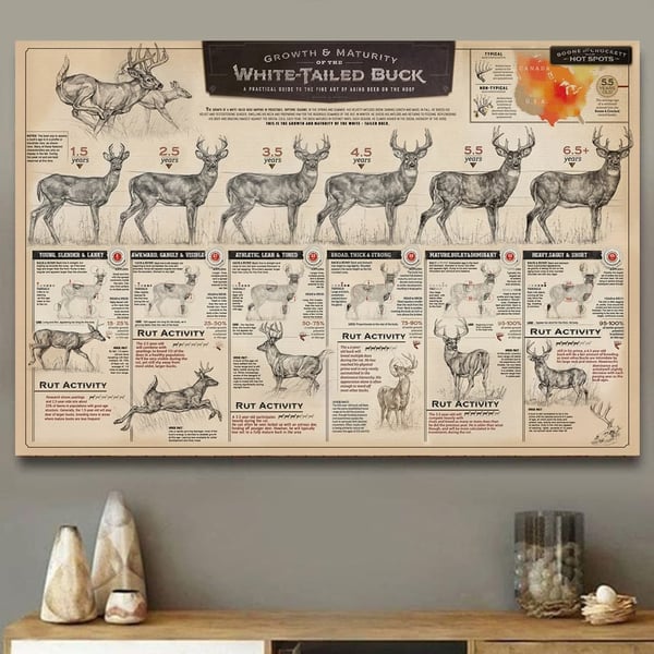 🦌"THE GROWTH AND MATURITY OF THE WHITE-TAILED BUCK"CANVAS PRINTS