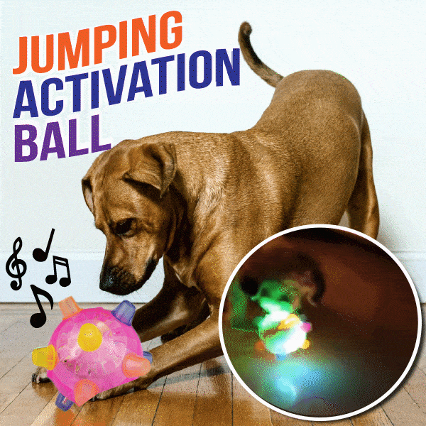 💥Hot Sale💥Jumping Activation Ball for Dogs（2 Pcs/Set，Blue+Pink）