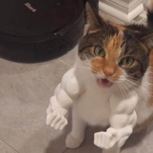 🔥2025 Summer Hot Sale - 48% OFF🔥Cat Muscle Arms – Funny 3D Printed Hulk Arms for Cats💪