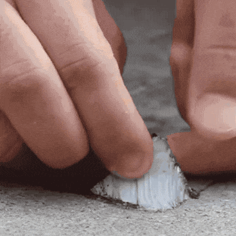 🔥Super Waterproof Tape, Butyl Rubber