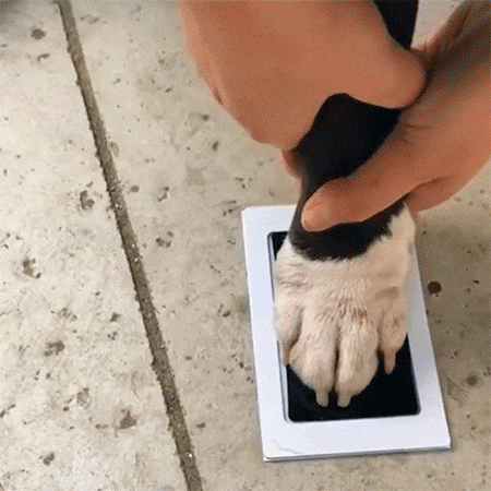 (🔥Hot Promotion 49% OFF)- Pet Dog Paw Print Inkless pad（3 Pcs/Set）