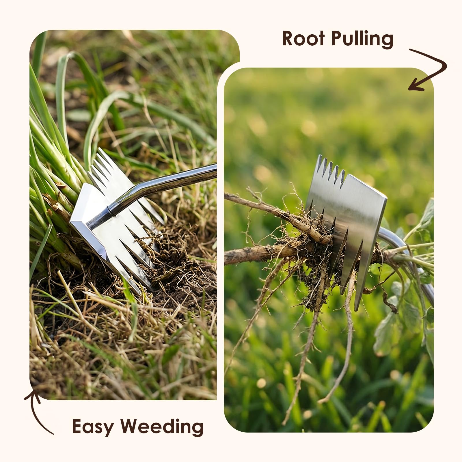 Stainless Steel Dual-Head Weeding Tool