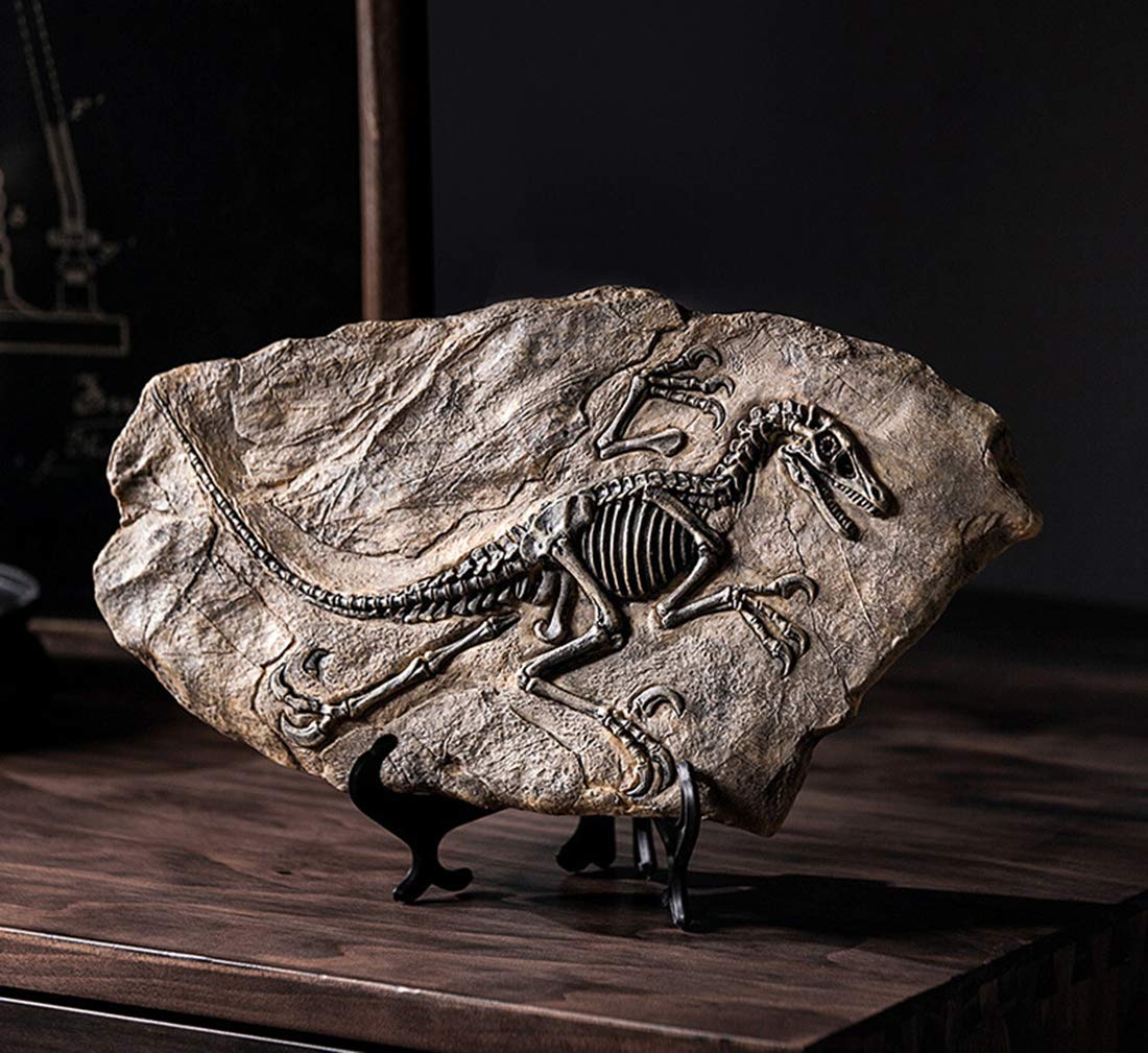 🦖Dinosaur Fossil Decor Statue