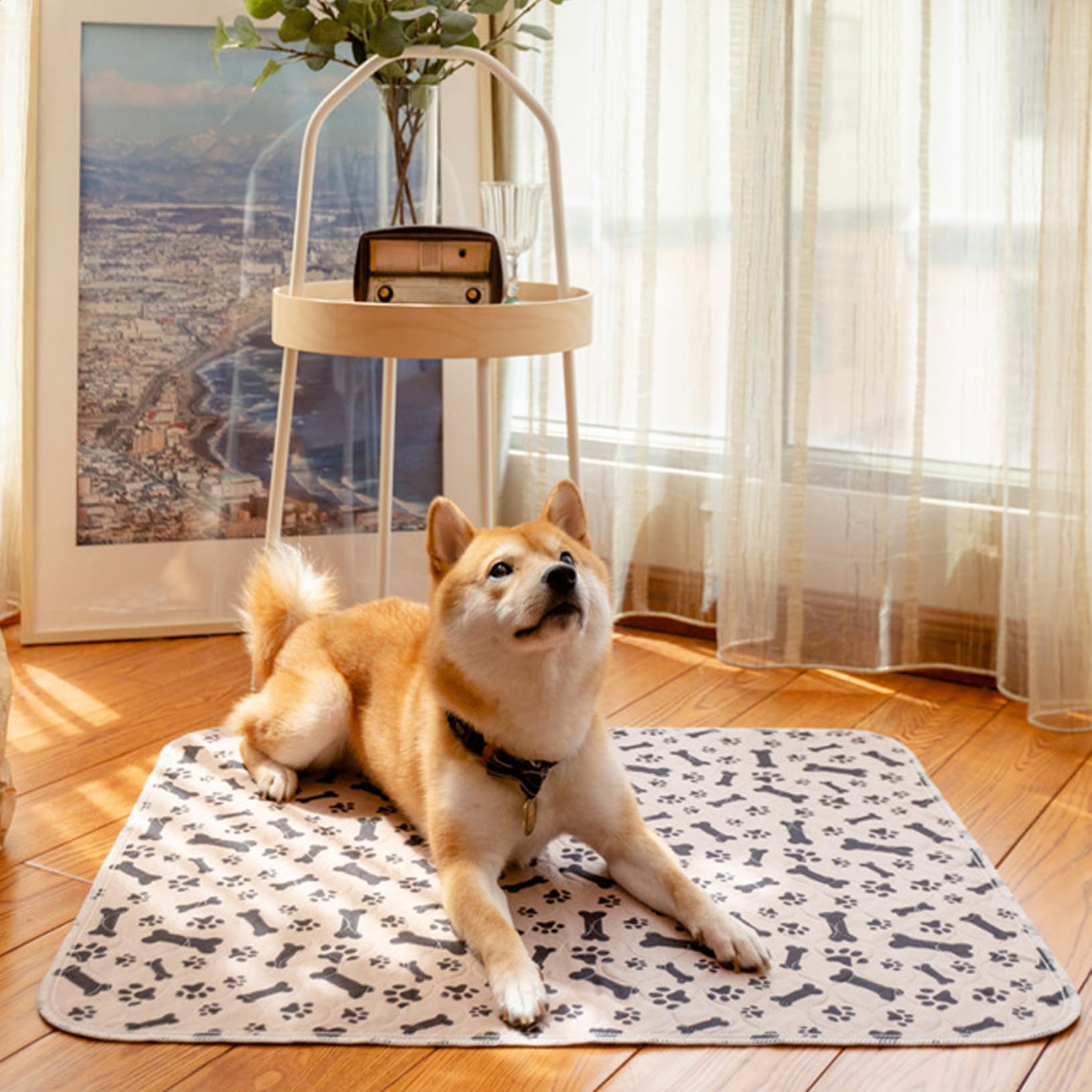 2026 Upgraded Washable Puppy Pad with Pheromones