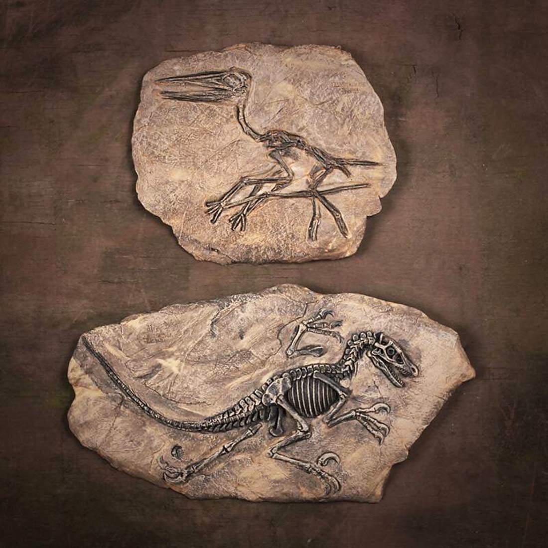 🦖Dinosaur Fossil Decor Statue