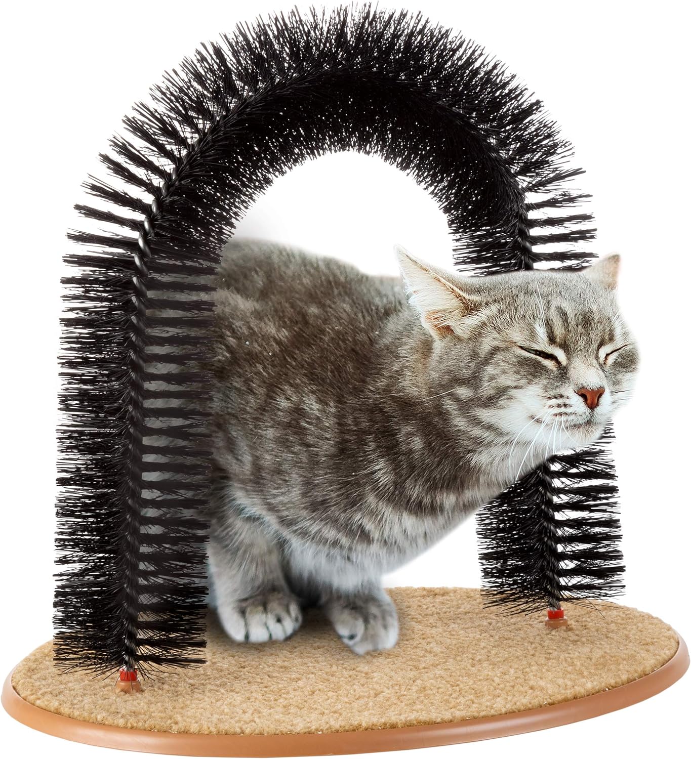 🐱Cat Self-Groomer - Bristle Ring Brush Scratcher