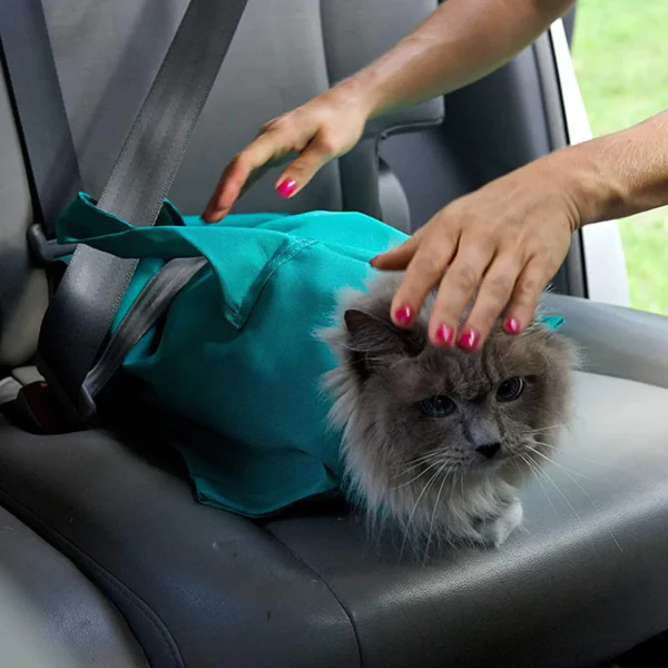 cat carrier pouch