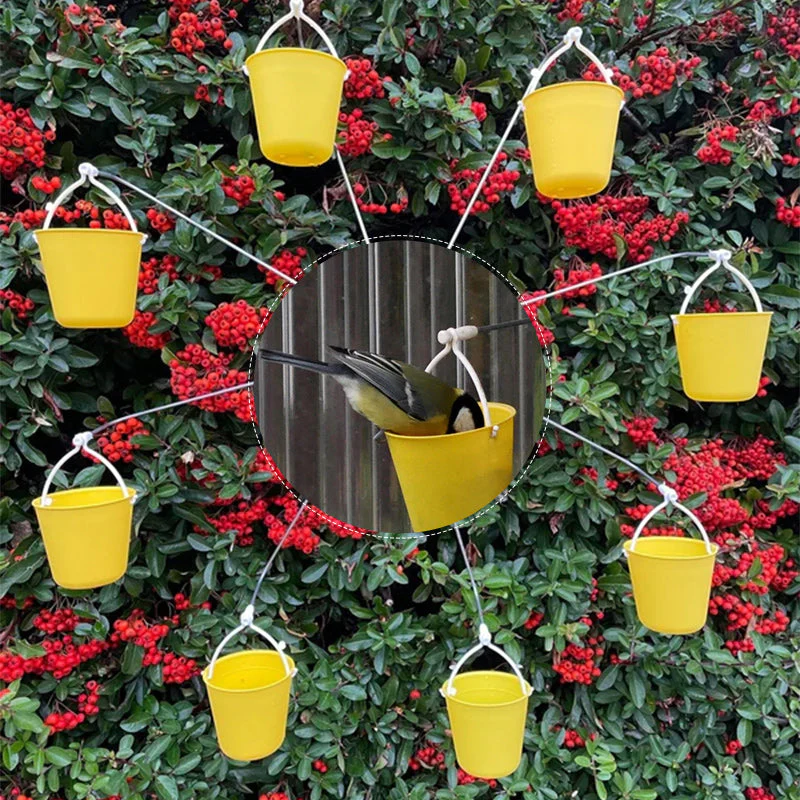 Fun Ferris Wheel Bird Feeder