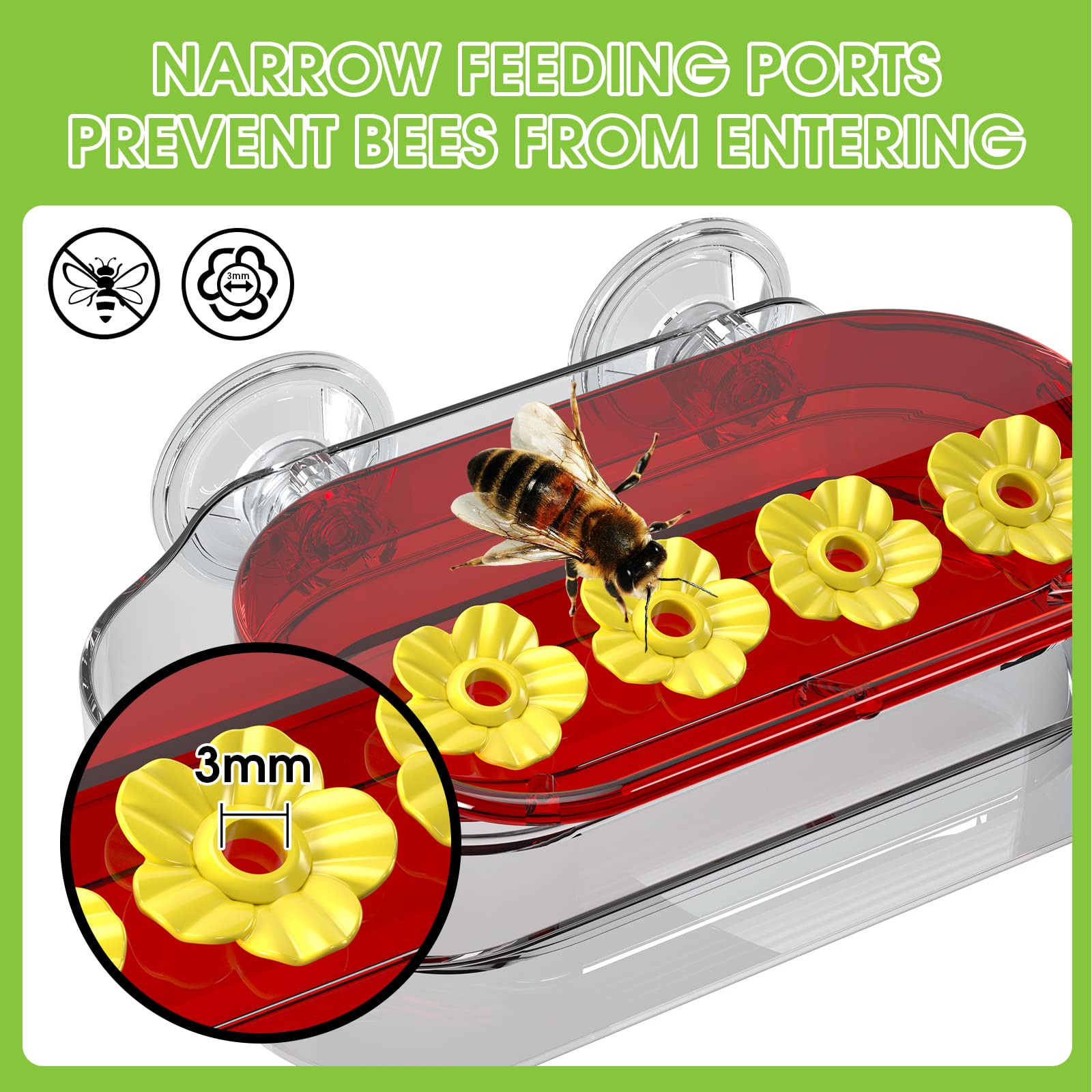  Window Hummingbird Feeder