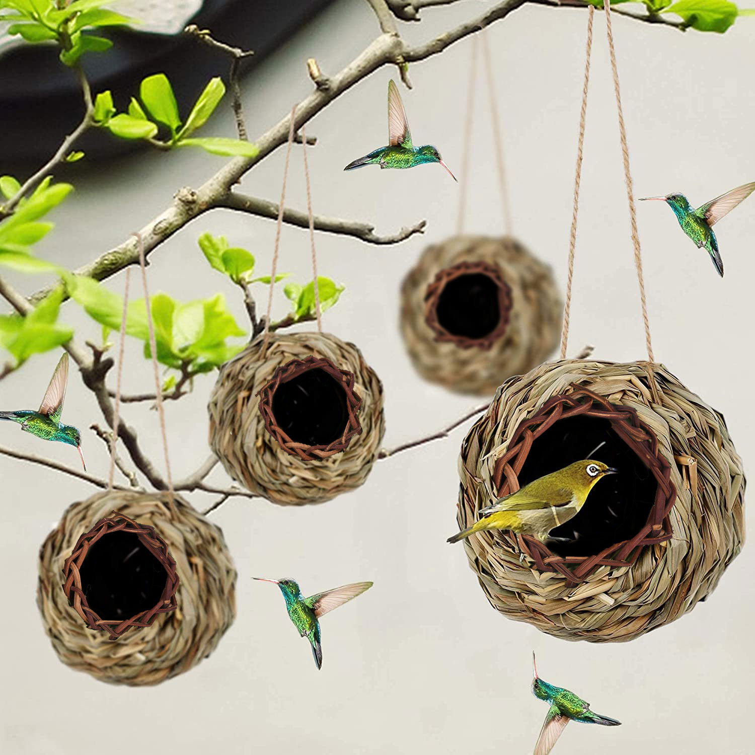 🔥ONE DAY 50% OFF-🐦Hummingbird Nest House（2 Pcs）