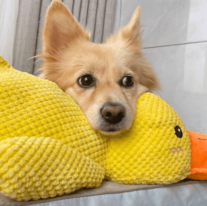 🦆Mellow Dog Calming Duck Dog Toy