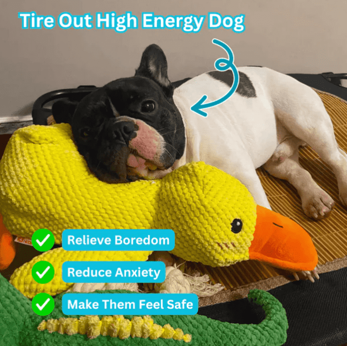 🦆Mellow Dog Calming Duck Dog Toy