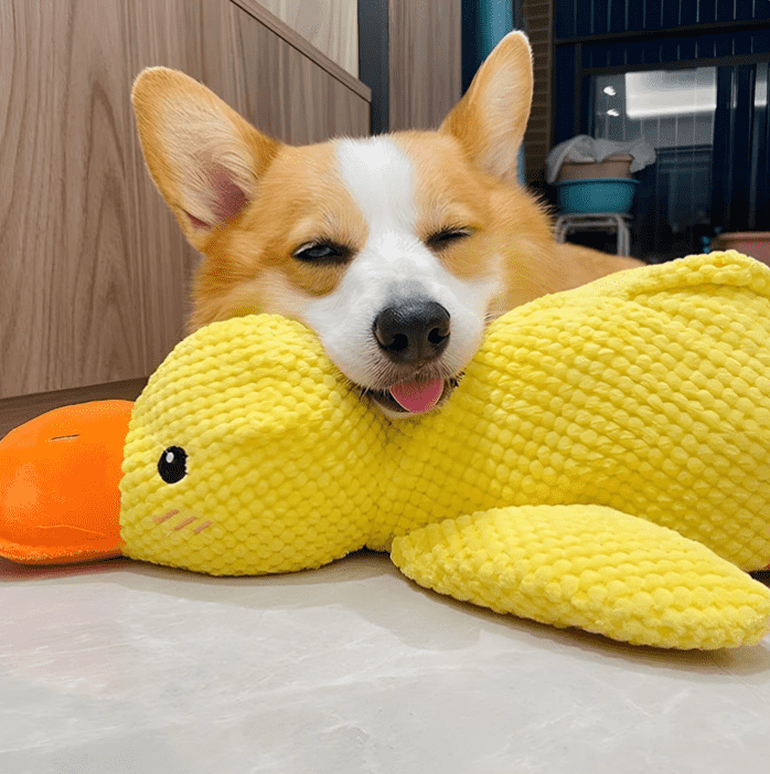 🦆Mellow Dog Calming Duck Dog Toy