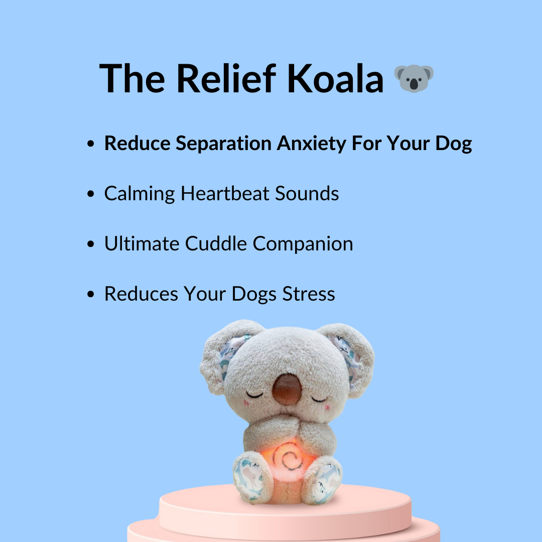 🐨Pet Calming Relief Breathing Stuffed Koala
