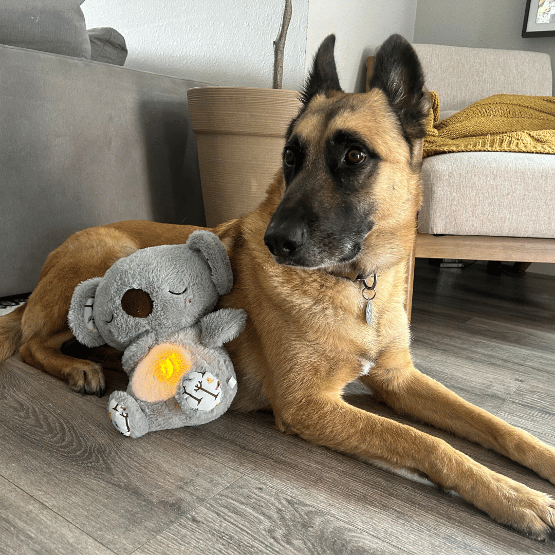 🐨Pet Calming Relief Breathing Stuffed Koala