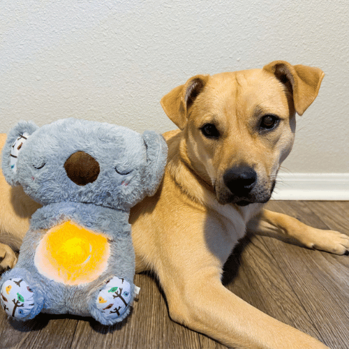 🐨Pet Calming Relief Breathing Stuffed Koala