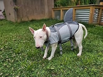 Neck and chest girth is switched on their chart!