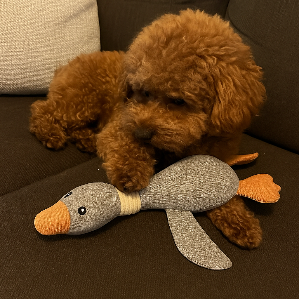 bef18076-fcbf-4a78-ab0c-35ef6c890c49.png__PID:e4e861d1-2a48-45fb-8098-bf23241e6b15