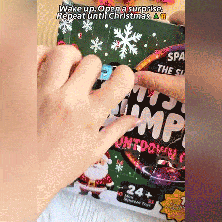 🎄24-Day Christmas Squishy Advent Calendar