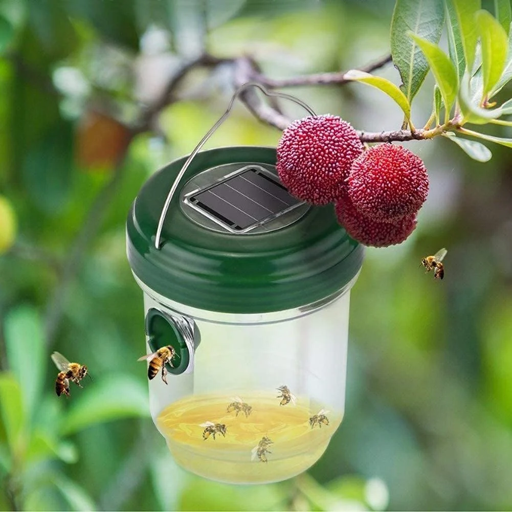 Garden Solar Powered Wasp Trap
