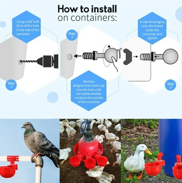 (🔥48% OFF) 6PCS/SET Automatic Chicken Water Cup Waterer Kit-BUY 2 GET 1 FREE