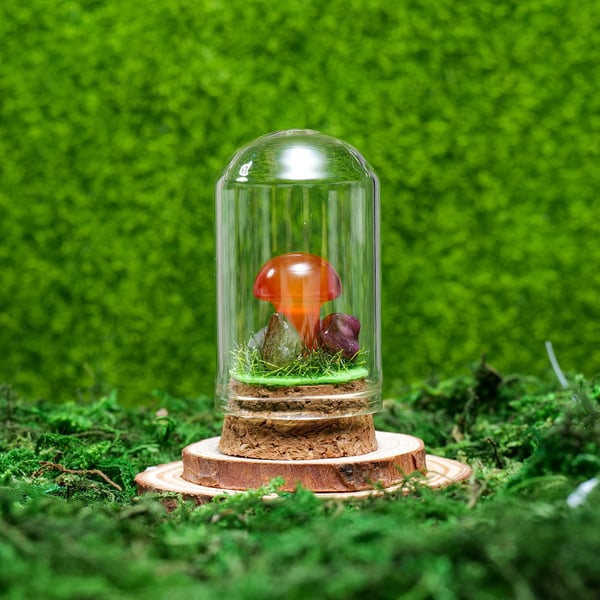 🍄Mini Crystal Mushroom Terrariums| Choose Your Natural crystal Mushroom