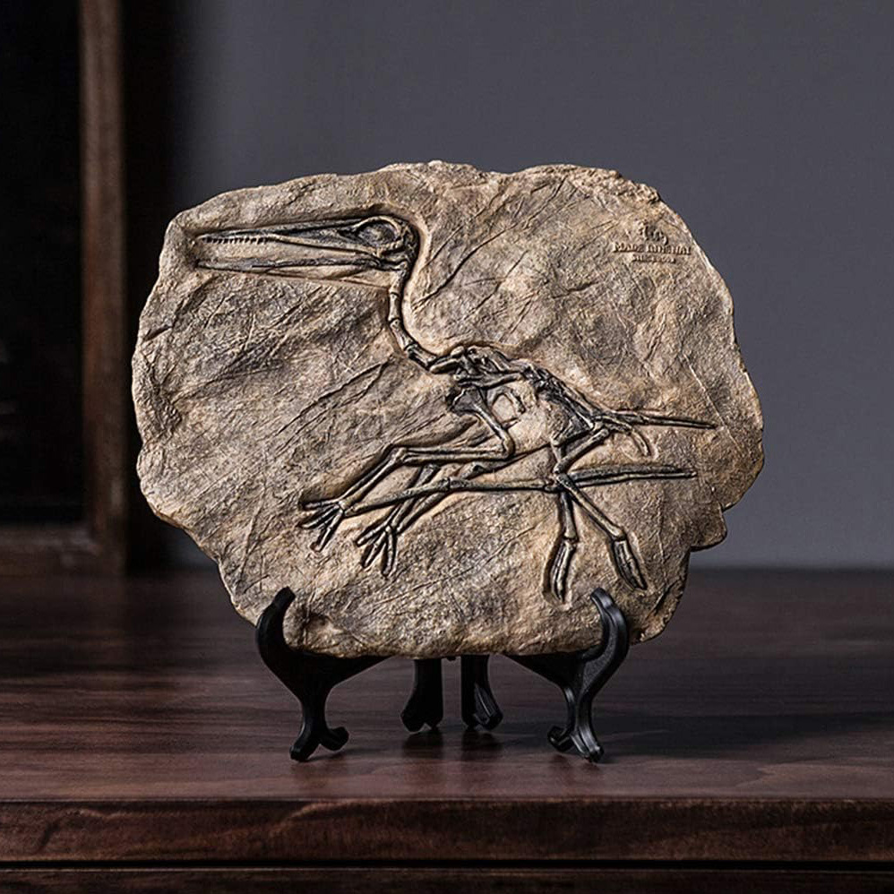 🦖Dinosaur Fossil Decor Statue With Display Stand