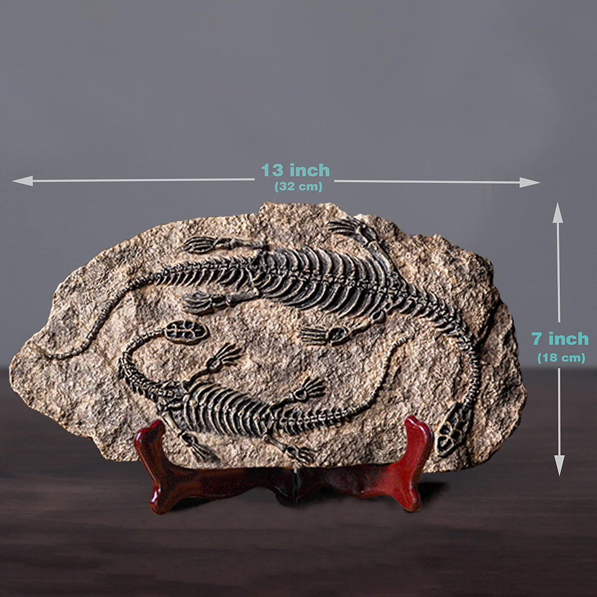 🦖Dinosaur Fossil Decor Statue