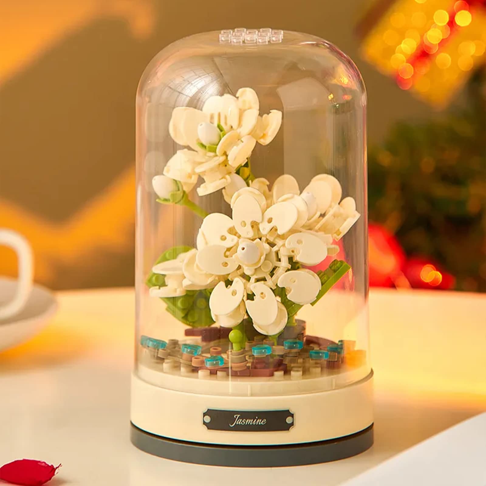 Music Box & Building Blocks